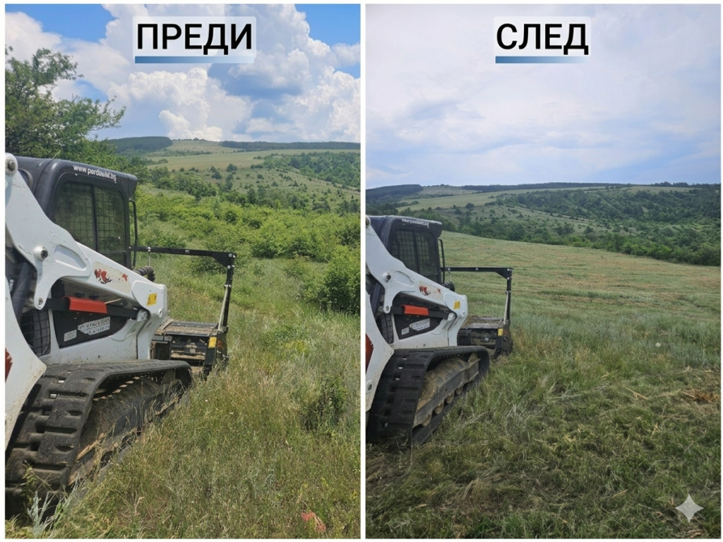 Верижен бобкат с прикачен горски мулчер извършва разчистване на храсти от планински пасища.